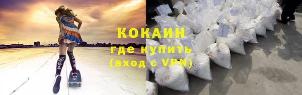 индика Баксан