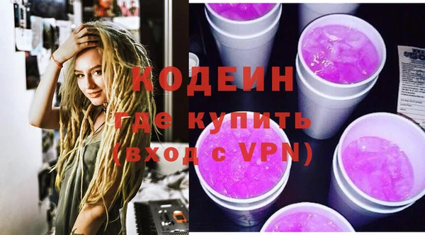 индика Баксан