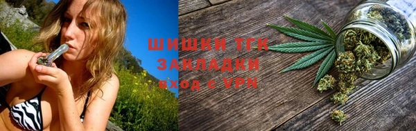 индика Баксан