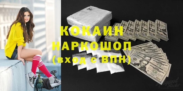 индика Баксан