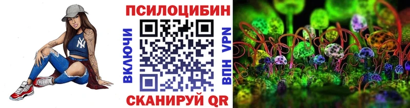 Купить закладки  Болхов  Галлюциногенные грибы Psilocybine cubensis 